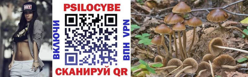 Псилоцибиновые грибы MAGIC MUSHROOMS Буинск